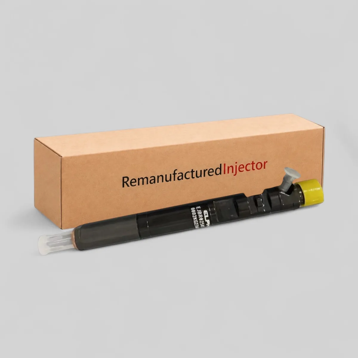 Delphi injector EJBR03902D