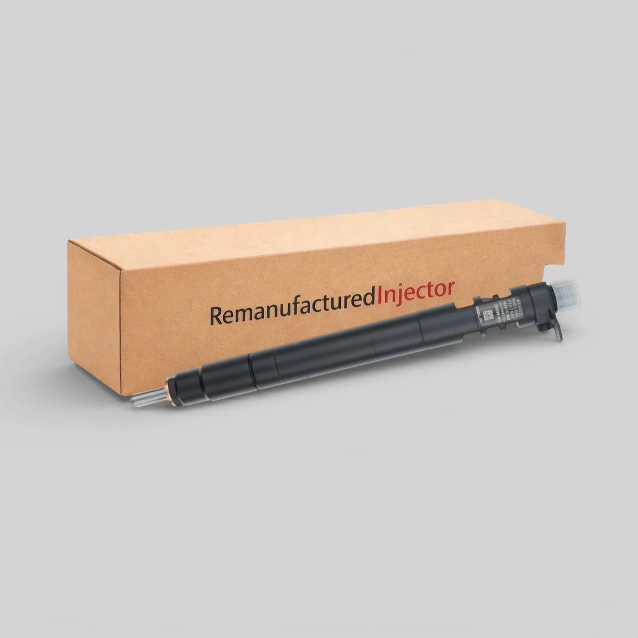 Delphi injector EMBR00101D