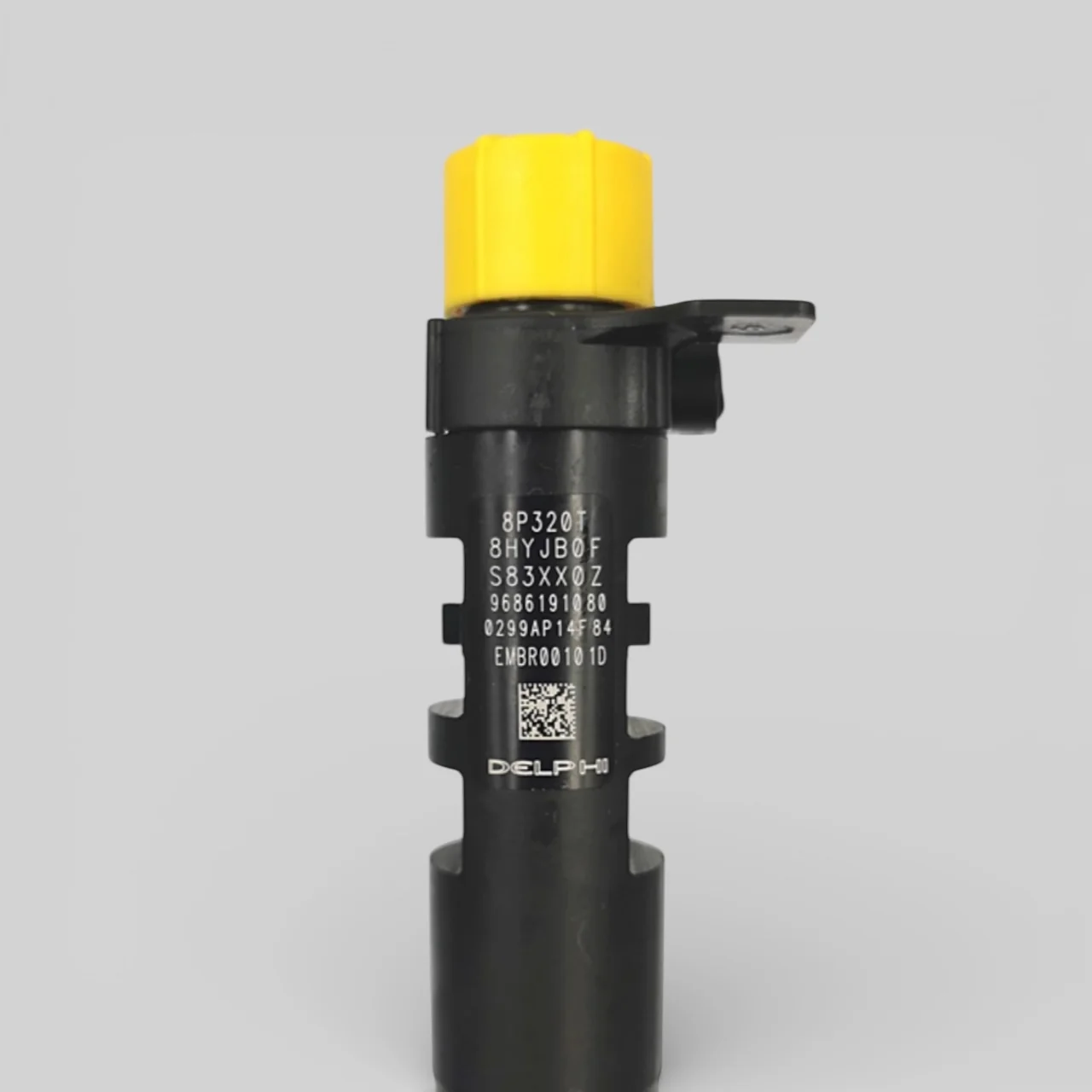 Delphi EMBR00101D injector close up 9686191080 EMBR00101D DELPHI